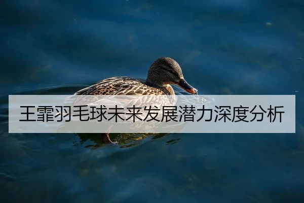 王霏羽毛球未来发展潜力深度分析